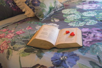 The Heart Of Emerald Bed & Breakfast - Accommodation Southport 9