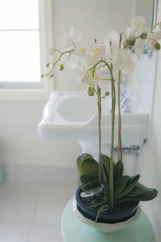 The Heart Of Emerald Bed & Breakfast - Accommodation Southport 30