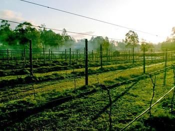 Hunter Country Lodge - Accommodation Southport 3