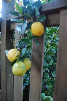 Highclaire House Bed And Breakfast - Accommodation Southport 27