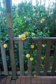 Highclaire House Bed And Breakfast - Accommodation Southport 28