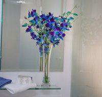 Grand Hotel Wyong - Southport Accommodation