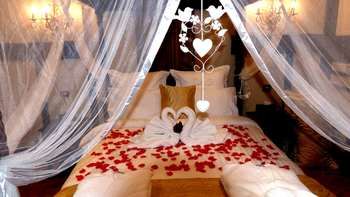 Aquila Nova Retreat - Accommodation Southport 39