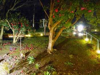 Aquila Nova Retreat - Accommodation Southport 43