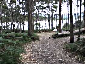 Camping At Bruny Island - Southport Accommodation 1