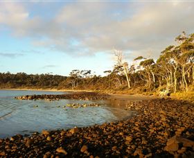 Bruny Island Experience - Southport Accommodation 4