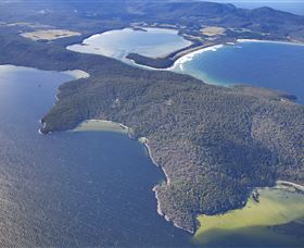 Bruny Island Experience - Southport Accommodation 5