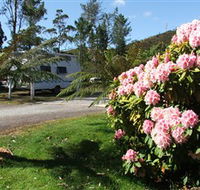 Zeehan Bush Camp  and Caravan Park - Accommodation Southport