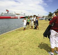 Lakeside Tourist Caravan Park - Southport Accommodation