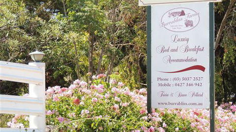 Burrabliss Bed And Breakfast - Southport Accommodation 6