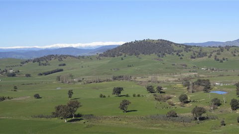 Rancho Relaxo - Accommodation Southport 0