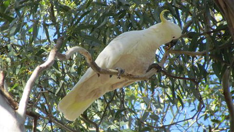 River Gardens Bed And Breakfast Farmstay - Southport Accommodation 1
