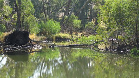 River Gardens Bed And Breakfast Farmstay - Southport Accommodation 2