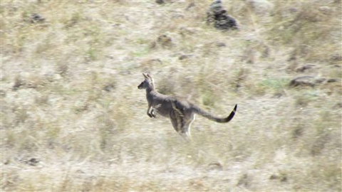River Gardens Bed And Breakfast Farmstay - Southport Accommodation 7