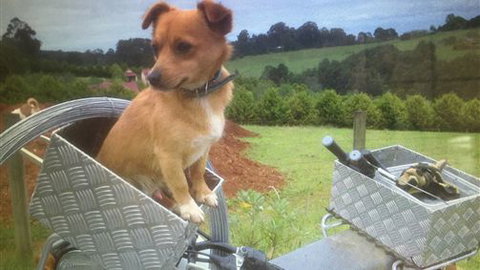 Farm Accommodation - Accommodation Southport 1