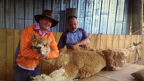 Farm Accommodation - Accommodation Southport 3