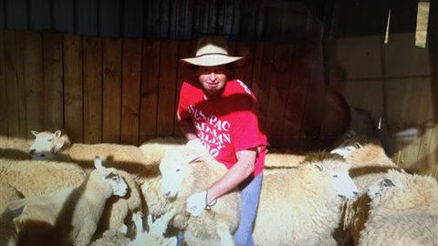 Farm Accommodation - Accommodation Southport 2