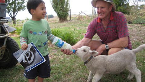 Bellevue Farmstay - Accommodation Southport 1