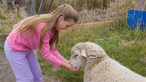 Bellevue Farmstay - Accommodation Southport 3