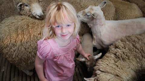 Bellevue Farmstay - Accommodation Southport 4