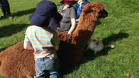 Bellevue Farmstay - Accommodation Southport 5