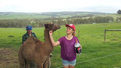 Bellevue Farmstay - Accommodation Southport 8