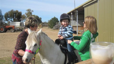 Cabarita Lodge - Accommodation Southport 2