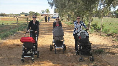 Cabarita Lodge - Accommodation Southport 3