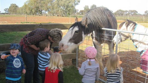 Cabarita Lodge - Accommodation Southport 4