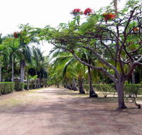 Alva Beach Tourist Park - Southport Accommodation