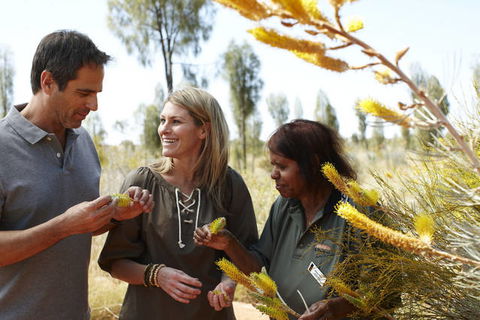 Ayers Rock Campground - Southport Accommodation 2