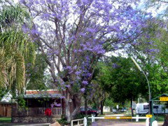 BIG4 Forbes Holiday Park - Accommodation Southport 3