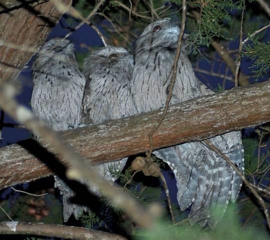  Accommodation Southport