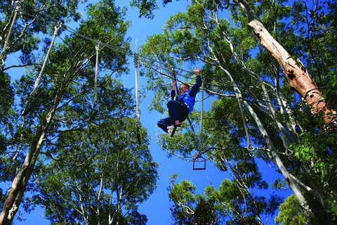 Cedar Creek Lodges At Thunderbird Park™ - Accommodation Southport 2