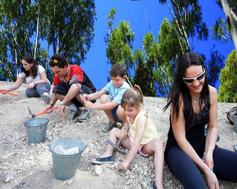 Cedar Creek Lodges At Thunderbird Park™ - Accommodation Southport 8