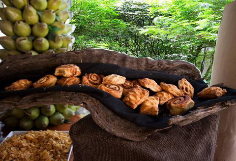 Cedar Creek Lodges At Thunderbird Park™ - Accommodation Southport 9