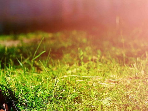 Ipswich Caravan Village - Southport Accommodation 1