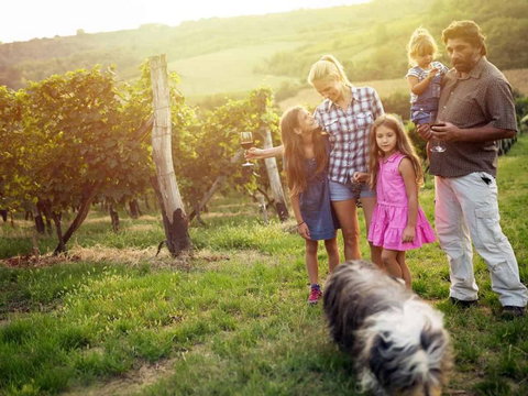 Ipswich Caravan Village - Southport Accommodation 3