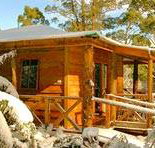 Cradle Chalet - Southport Accommodation