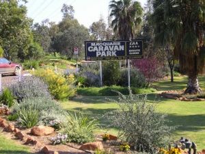 Macquarie Caravan Park - Accommodation Southport 1