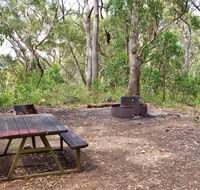 Bark Hut picnic area and campground - Southport Accommodation