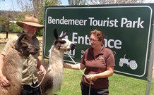 Bendemeer Tourist Park - Southport Accommodation 0