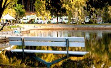 BIG4 Tweed Billabong Holiday Park - South - Accommodation Southport 2
