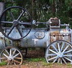 Dingo Tops campground - Southport Accommodation