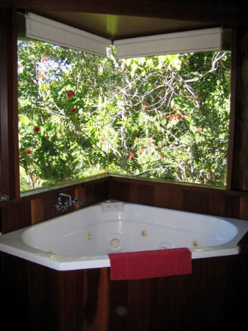 Rose Gums Wilderness Retreat - Southport Accommodation 3