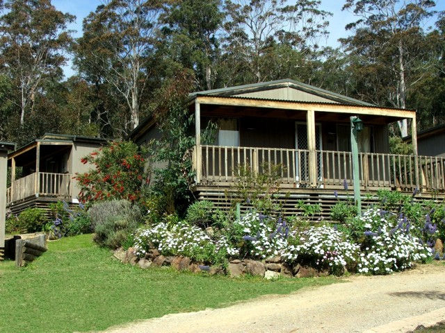 Mogo NSW Southport Accommodation