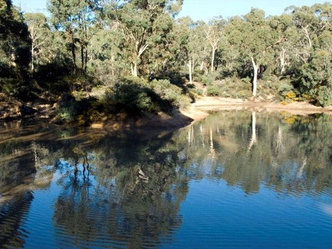Toodyay Holiday Park & Chalets - Accommodation Southport 4