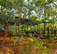 Arnhemland Barramundi Nature Lodge - Accommodation Southport