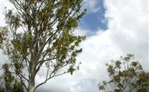 Glen Villa Resort And Tourist Park Casino - Accommodation Southport 0