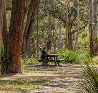 Koreelah Creek campground - Accommodation Southport